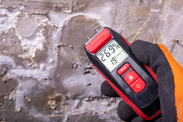 Best Commercial Mold Removal  in Hendron, KY