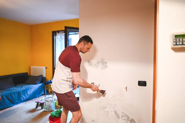 Best Mold Removal Company Near Me  in Hendron, KY